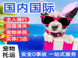 佛山航空运输国际宠物托运 【国